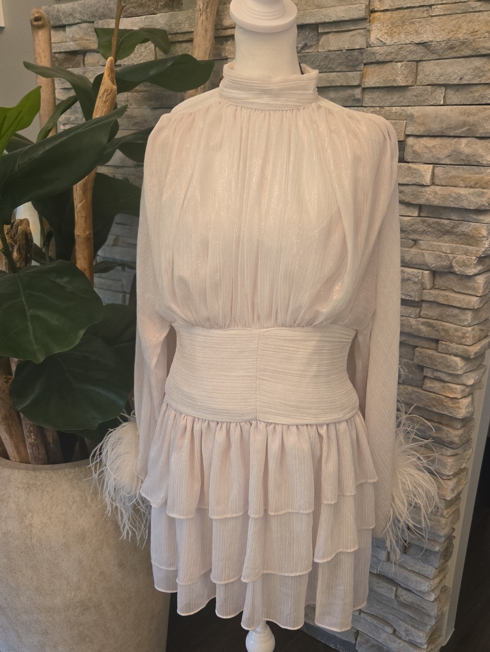 A Loves A Mock Neck Feather Trim Mini Dress - Picture 2 of 6